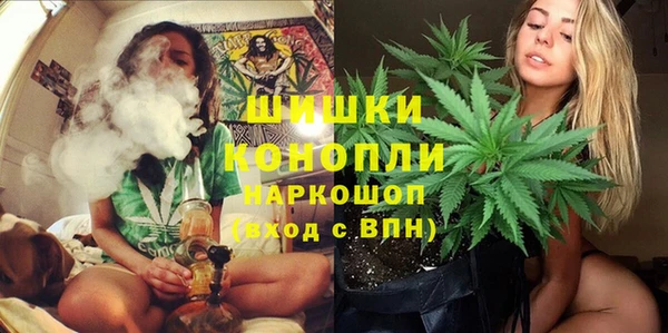 первитин Михайлов