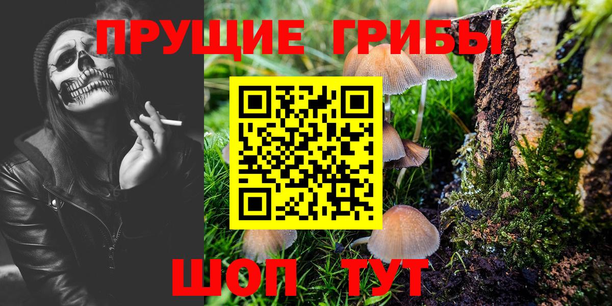 Галлюциногенные грибы Magic Shrooms  Псилоцибиновые грибы MAGIC MUSHROOMS  Вход с VPN  Надым 
