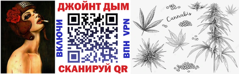 Каннабис сатива  гидра как зайти  Надым  как найти закладки 